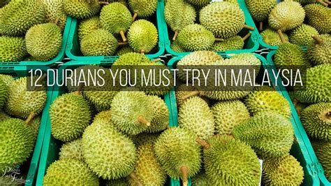 12 Durians You Must Try in Malaysia