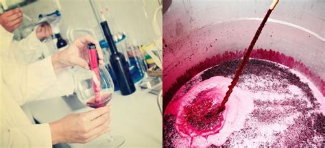 Reducing Post-Fermentation (SO2) Additions in Quality Wine: Exploring Options & Implications