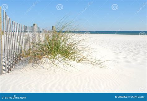 Beach Sand Dune stock photo. Image of florida, serenity - 3883392