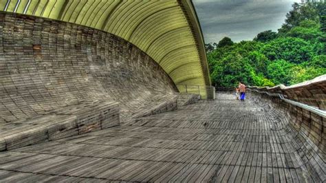 Henderson Waves Bridge, Singapore