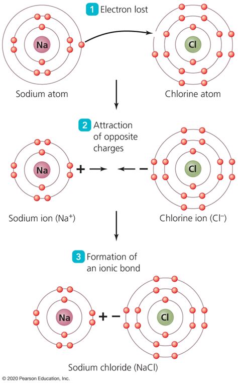 Chapter 2 Atoms, Molecules and Life (Inorganic Chemistry)