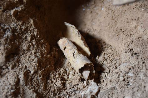 New Cave Of Dead Sea Scrolls Discovered By Scientists