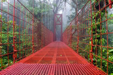 A Self-Guided Hike in the Monteverde Cloud Forest Reserve