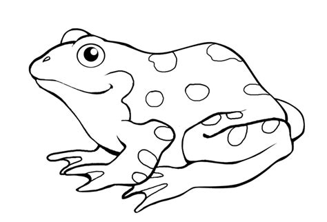 Frog Coloring Pages PDF Printable - Coloringfolder.com | Frog drawing ...