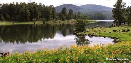 Hawley Lake White Mountains, Fishing, Campgrounds, Ca