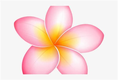 Plumeria Flower Border Clip Art