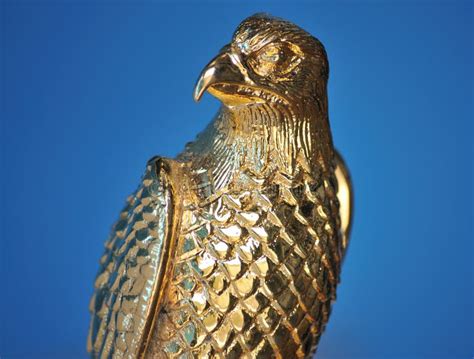 Golden Falcon Head stock photo. Image of gold, eagle, golden - 4866152