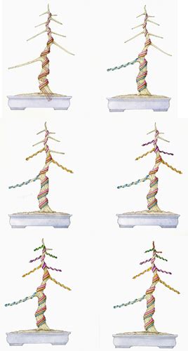 What Really Make A Tree Into Bonsai - The Open Secrets of A Bonsai Tree ~ Imtiaz Shoykat