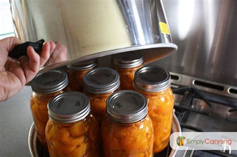 Steam Canner: Ever heard of steam canning? Learn how to use one here.