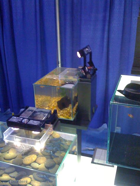 Fluval Edge Aquarium is confirmed for US, UK markets | Reef Builders | The Reef and Saltwater ...