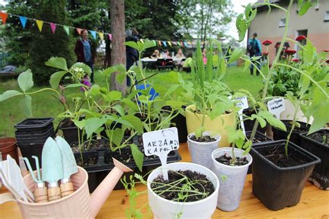 Community Gardening for Sustainable Food Education - StratKIT Sustainable Public Meal Toolkit