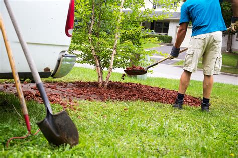 4 Advantages of Hiring a Professional Landscaping Company