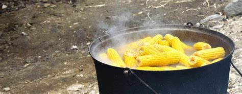 Corn Boiling in a Cauldron. Street Food, Sweet Juicy Yellow Stacked Corn Boiling Stock Image ...