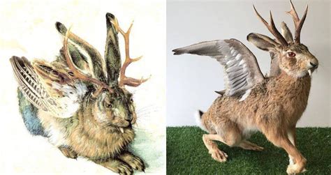 Wolpertinger: The Horned Rabbit From Bavarian Folklore : r/Cryptozoology