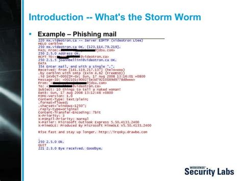 Storm Worm & Botnet | PPT