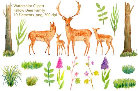 Deer Clip art, fallow deer family and woodland elements – Corner Croft