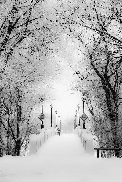 Assiniboine Park Bridge | Winter scenery, Winter landscape, Winter scenes