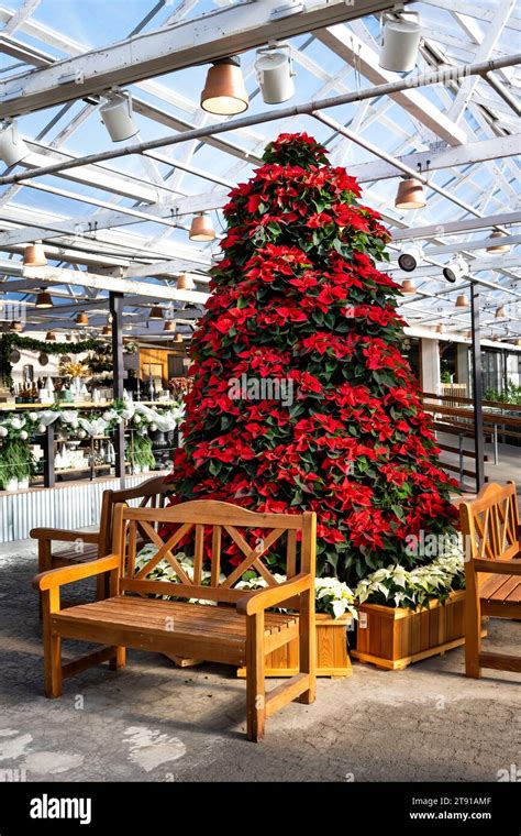 WOODENVILLE, WASHINGTON – NOV 14, 2023: Molbak's Garden and Home store ...