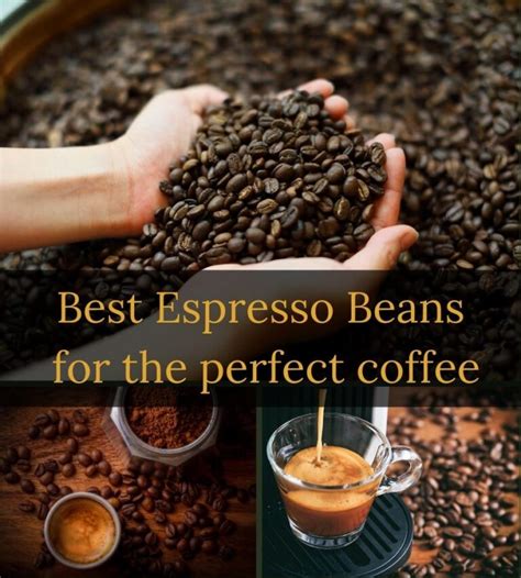 Elevate Your Coffee Game with the Best Espresso Beans in 2023