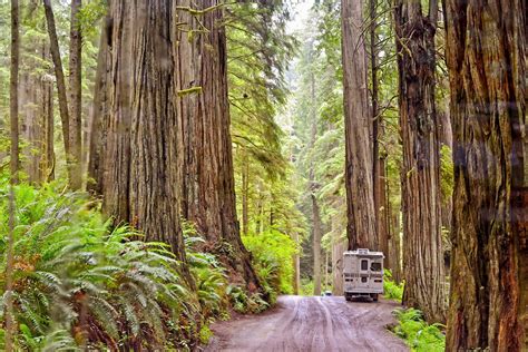 Jedediah Smith Redwoods State Park: The Complete Guide