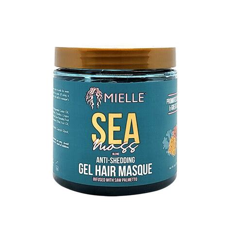 Mielle Sea Moss Anti-Shedding Gel Hair Masque infused w/ Saw Palmetto 8 Oz. | eBay | Hair masque ...