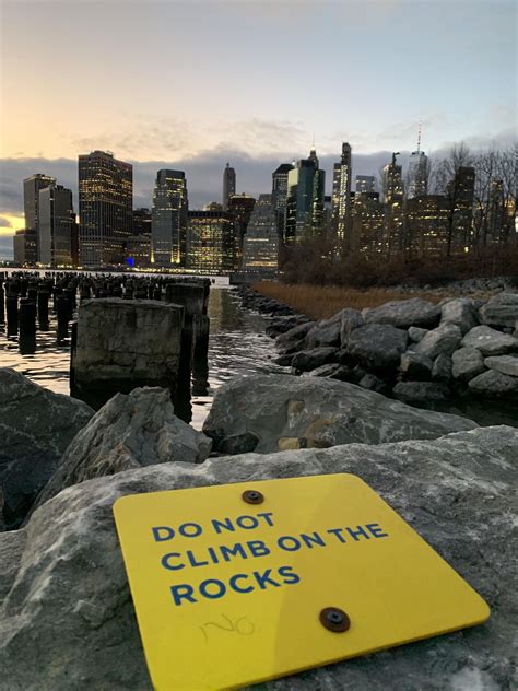 Downtown Manhattan skyline from Brooklyn Bridge Park : r/Brooklyn