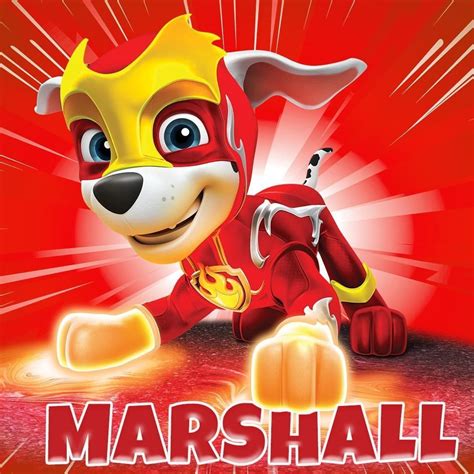 Paw Patrol Marshall Wallpapers - Wallpaper Cave