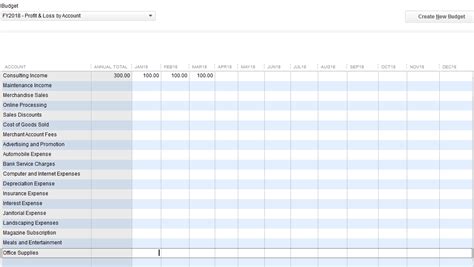 Quickbooks Budget Template