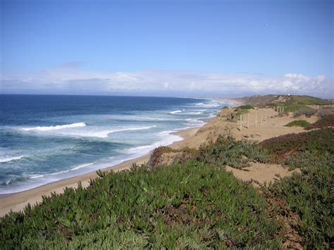 Nature ID: habitat ~ 10/30/10 ~ Fort Ord - Dunes State Park