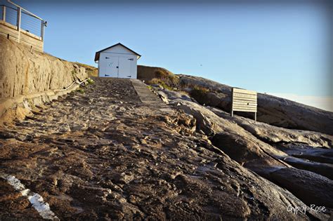 Montague Island - Narooma - New South Wales