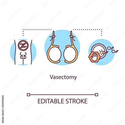 Vasectomy concept icon. Permanent contraceptive method. Surgical procedure for man. Male ...