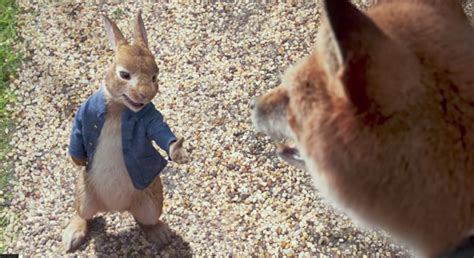 Why people are boycotting the Peter Rabbit film — Yours