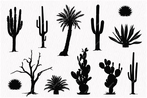 Premium Vector | Silhouette set of desert plants desert trees cactus coconut tree palm century plant