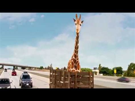 Hangover 3 Giraffe Head