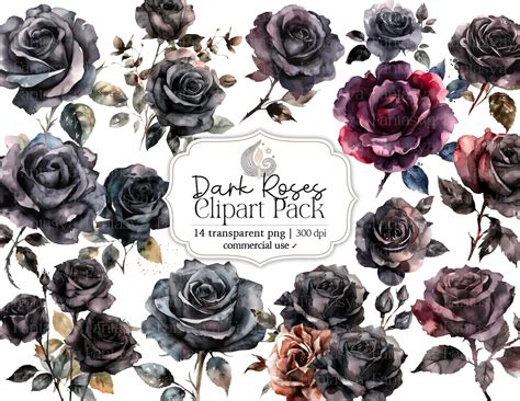 Dark Roses Clipart Pack Watercolor Clipart Watercolor - Etsy