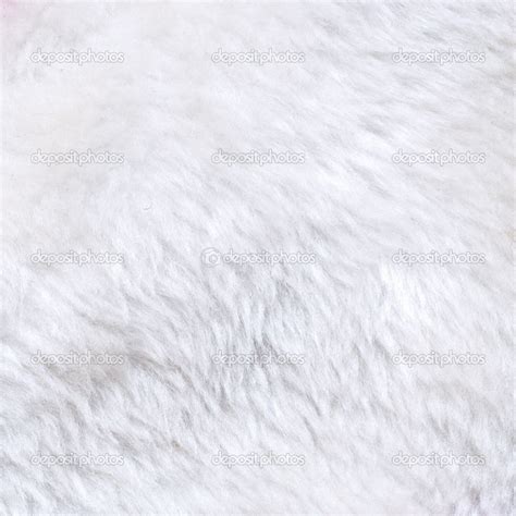 White fur texture