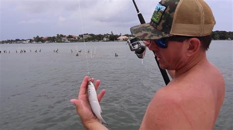 FINGER MULLET Catch,Clean & Cook ( COOKING OUR BAIT) featuring SETH ...