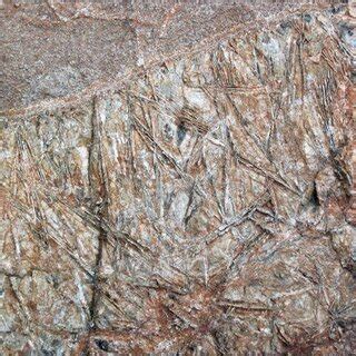 A komatiite outcrop in Ontario, Canada. The distinctive "spinifex"... | Download Scientific Diagram