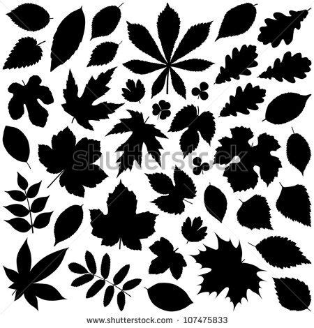 Leaf Silhouettes Free vector & Brush Pack | Leaf images, Leaf silhouette, Leaves vector