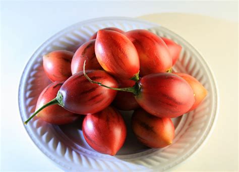 Plate With Tree Tomato Fruit Free Stock Photo - Public Domain Pictures