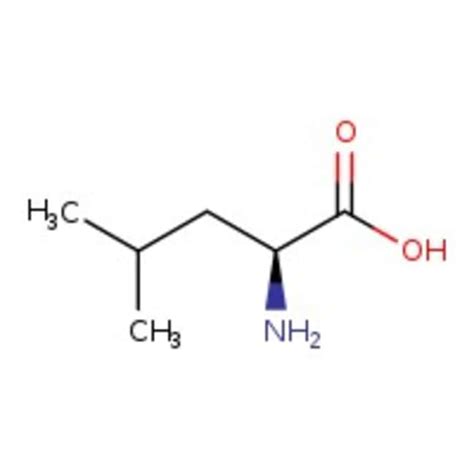 Thermo Scientific Chemicals L-Leucine, Cell Culture Reagent | Fisher ...