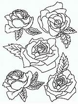 Rose coloring Pages sketch template