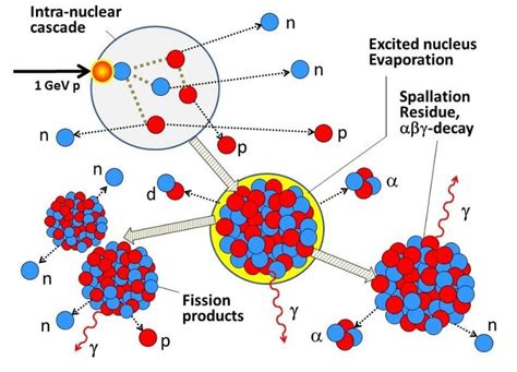 Principle sketch of the spallation process leading to production of a... | Download Scientific ...