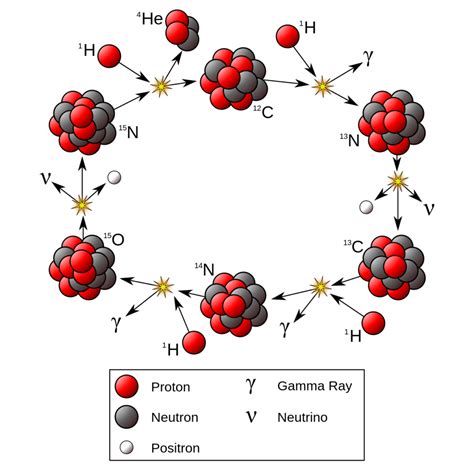 carbon-nitrogen-oxygen cycle | The Lyncean Group of San Diego