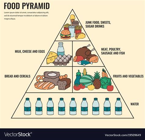 Healthy Eating Pat The Baker Food Pyramid The Food Pyramid | Images and ...