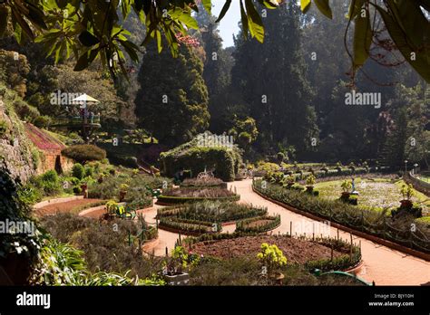 India, Tamil Nadu, Udhagamandalam (Ooty), Botanical Gardens, Italian Garden terrace Stock Photo ...