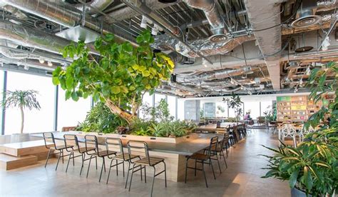 GREEN DISPLAY 株式会社グリーンディスプレイ | PLANTSCAPING | WORKS | OFFICE | 株式会社アダスト ...