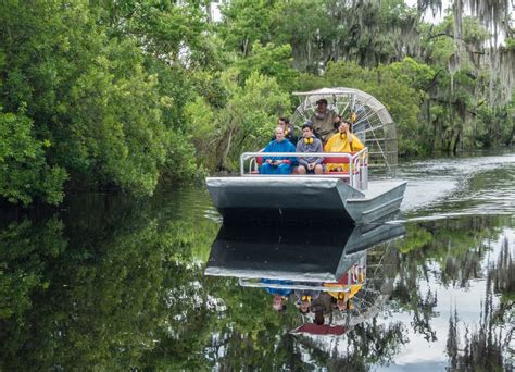 15 Best Louisiana Swamp Tours - The Crazy Tourist