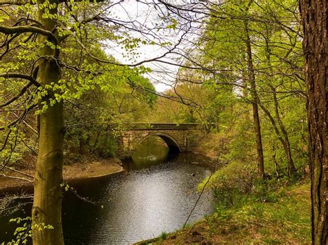 Derwent Edge Walk (Peak District, England) | 10Adventures