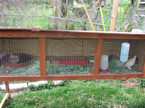 Show me your quail pens!!! | Page 31 | BackYard Chickens